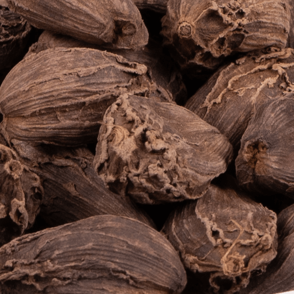 big black cardamom
