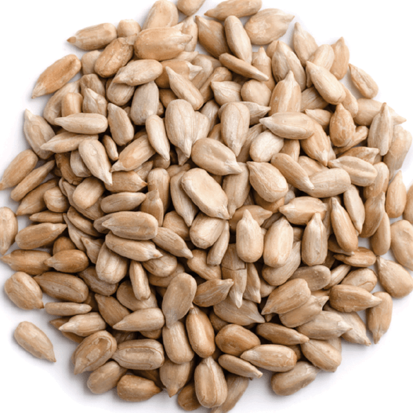 Sunflower Seed