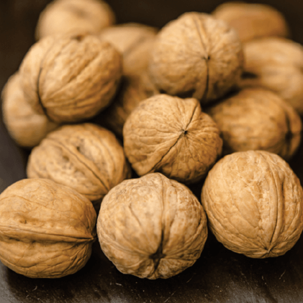 Bharat Walnut Akhrot
