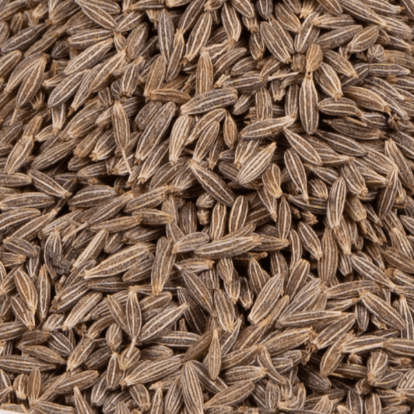 Best Cumin Seed