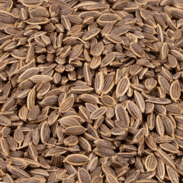 Best Suva Dill Seeds